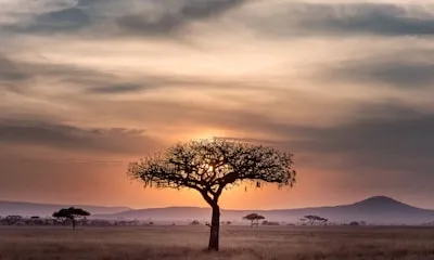 Namibia